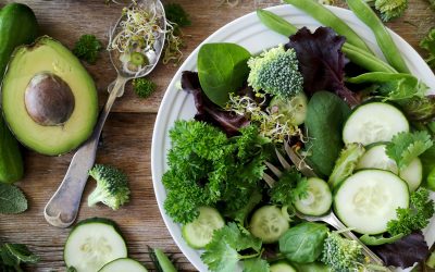 Vegan Yaşam Tarzını Benimsemenin Sürdürülebilirliğe Uzun Vadede Katkıları