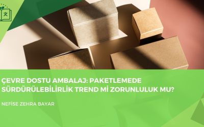 Çevre Dostu Ambalaj: Paketlemede Sürdürülebilirlik Trend mi, Zorunluluk mu?