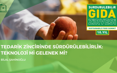 Tedarik Zincirinde Sürdürülebilirlik: Teknoloji mi Gelenek mi?