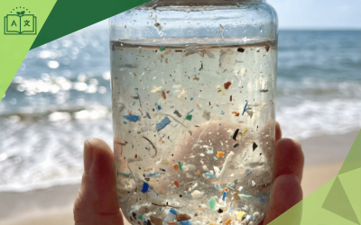 Denizlerde Mikroplastik Tehdidi