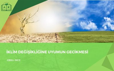 İklim Değişikliğine Uyumun Gecikmesi