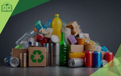 Tüketim Kültüründen Sürdürülebilirliğe: Çevirinin Dönüştürücü Gücü