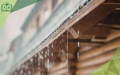 Yağmur Suyu Hasadı: Geleceğin Suyu Belki de Çatımızdan Akıyor